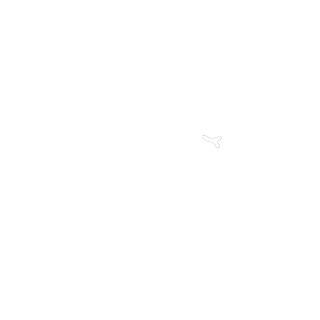NahapetFX logo